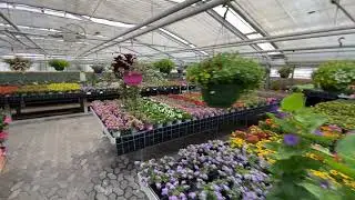Rundgang durch unser Gartencenter - Welzel&acute;s Pflanzen Privatverkauf f&uuml;r den Endkunden