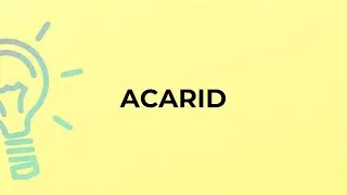 What is the meaning of the word ACARID?