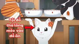 ALL IN ONE | T&ocirc;i bị BẤT NGỜ v&igrave; M&egrave;o trong THẾ GIỚI 