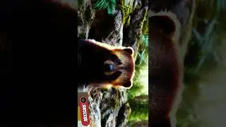 INCREDIBLE FIRST LOOK AT A BABY WOLVERINE SHORT
