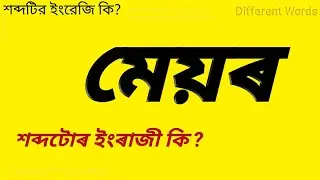 Meyor english ki || Mayor mane ki