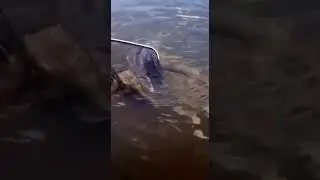 Удачная рыбалка