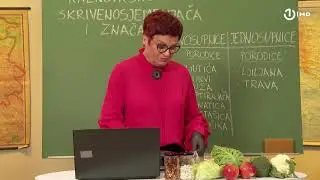 Domaća zadaća za 6. razred: Biologija - Skrivenosjemenjače – raznovrsnost i značaj