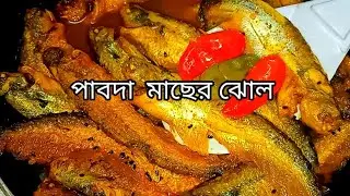 প্রায় বিনা মশলায় পাবদা মাছের ঝোল /pabda macher recipe  / Pabda Fish curry / pabda macher jhol