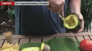 A Modesto man grows his fruits to save money on groceries