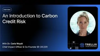 An Introduction to Carbon Credit Risk with CEEZER's Dr. Carla Woydt