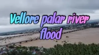 Vellore Palar River Flood|Vellore District|20.11.2021