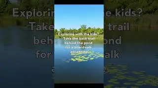 Woodbine Park in the heart of Toronto's beaches. EXPLORE TORONTO