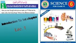 Cellular Organization of plants and animals| Sindh Book Board