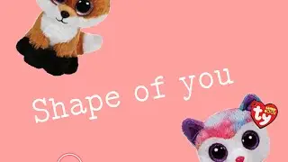 💕Shape of you💕 Beanie boos music video