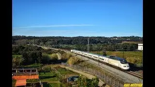 Au bord des voies de la LGV Perpignan - Barcelone
