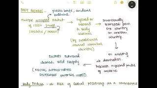 Body packers | fmt mbbs 3rd year
