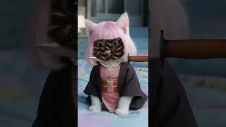 🐱💕Cute ASMR Kitten Care Animation 🐱💕 #ASMR #Animation #Short #Satisfying