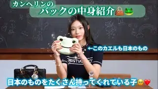 【Newjeans 日本語字幕】ヘリンのカエル愛は健常です