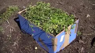 FREE | Easy | How to Build a Raised Garden Bed for planting Potatoes