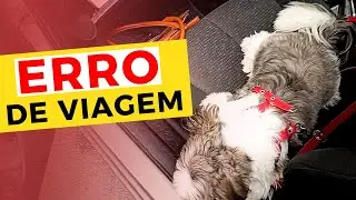 🚗ANTES de VIAJAR com Seu PET,  Veja Isso! 🐶
