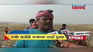Farmers Devastated By Continuous Rainfall In Odisha | Crops Destroyed, Awaiting Government Aid