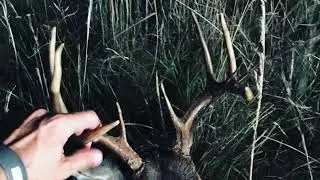 FIRST BOW BUCK AND FIRST SELF FILMED HUNT