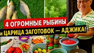 &laquo;Рыба, уха и аджика: вкусный влог с дачи&raquo;