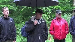 Allindelille Fredskov: Med Danmarks Naturfredningsforening p&aring; bes&oslash;g