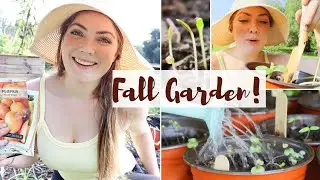 Let&rsquo;s Start A Fall Vegetable Garden From Seed! l Permaculture Gardening