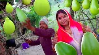 Lauki ki sabzi ऐसे बनायें लौकी की सब्ज़ी तो सब माँग -माँग कर खाएँगे #anitajikakitchen  -Ghiya Sabji
