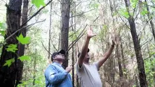 Landowner Forest Management Plan WEB