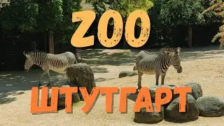 ГришМиш в Зоопарке Штутгарт | Wilhelma Zoologisch-Botanischer Garten