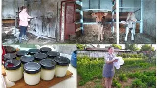 ОЧЕНЬ ГЕНЕРАЛЬНАЯ УБОРКА В КОРОВНИКЕ И ПОПОЛНЕНИЕ В ХОЗЯЙСТВЕ!!!