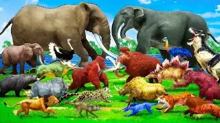 Paint Animals Tiger, Lion, Dinosaur, V/S  Elephant, Gorilla, Wolf, Mammoth Tiger