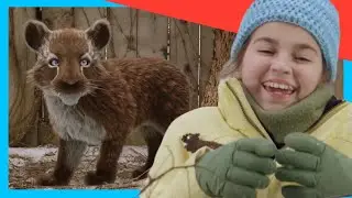 ❤️ Baby Smilodon in Danger! Dino Parents to the Rescue! | Dino Kids | Dinosaur Shows for Kids