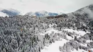 Aerial landscape of mountain pine forest covered by white snow and curved road leading there