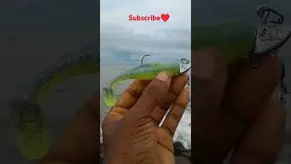 Cast & catch new jighead 🔥 paired with zman sexy mullet 🔥#fishing #lurefishing