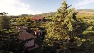 Cantina Wiegner : Wiegner Winery  OFFICIAL VIDEO