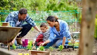 Unearthing Wellness: How Soil, Sunlight, and Gardening Nurture Body and Soul