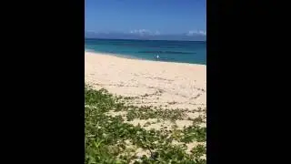 Faleloa Ha'apai