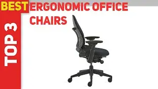 Top 3 Best Ergonomic Office Chairs 2022