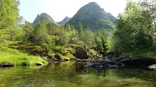 Calm river flowing in a summer landscape - Free stock footage 4k HD - No Copyright