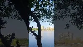 Day 65 | Exploring Upvan Lake in Thane | Mini Vlog #shorts #minivlog