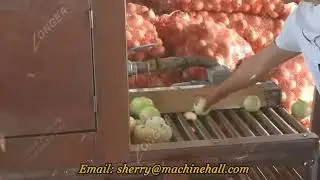 Automatic Chain Type Onion Peeling Machine/Onion Peeler Machine
