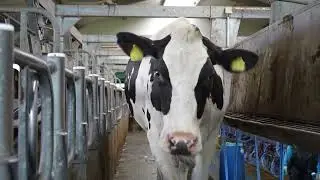 Der Hof Karp in Kraak - nachhaltige Kreislaufwirtschaft auch ohne Biosiegel