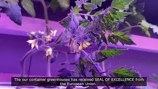 Discover The HTG Fresh Food Factory | Vertical | Horizontal