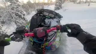 Aurinkoinen päivä pusikossa | Arctic Cat Alpha One