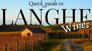 The 5-Minute Guide to LANGHE Wines (Barolo, Barbaresco & Nebbiolo Explained)