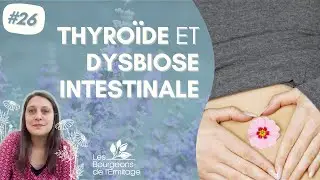 Thyro&iuml;de et dysbiose intestinale : le lien entre microbiote et troubles thyro&iuml;diens