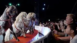木下大サーカス　札幌公演開幕　多彩な演目で観客魅了