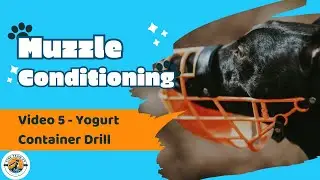 Muzzle Conditioning Video 5