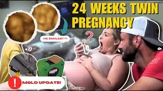 24 Weeks TWIN PREGNANCY: The Boys are VIABLE & MOLD REMEDIATION Update