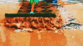 Cleaning a very dirty and muddy carpet: Can you the true color of carpet???