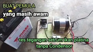 Cara sederhana ngerakit setrum ikan platina type PS tanpa Condensor